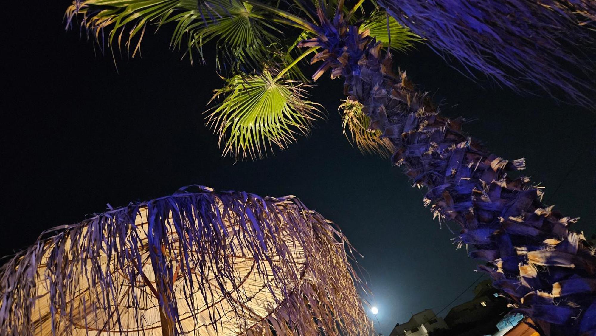 Elli Tropical Suites Mykonos Town Zewnętrze zdjęcie