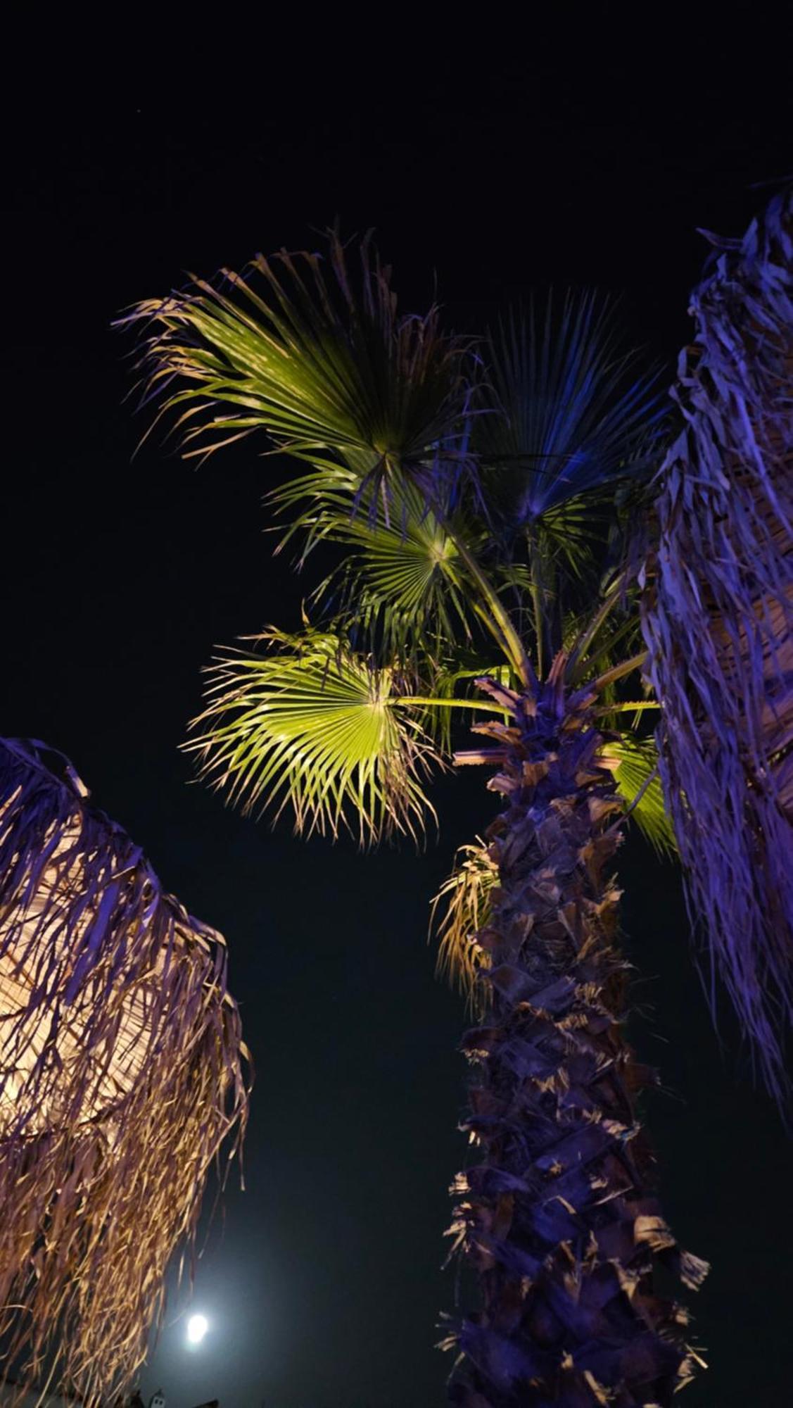 Elli Tropical Suites Mykonos Town Zewnętrze zdjęcie