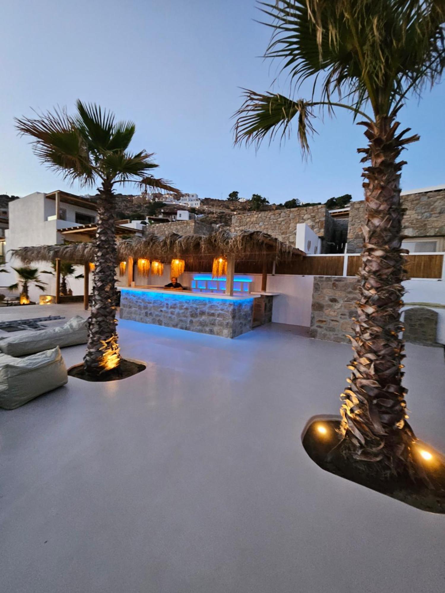 Elli Tropical Suites Mykonos Town Zewnętrze zdjęcie