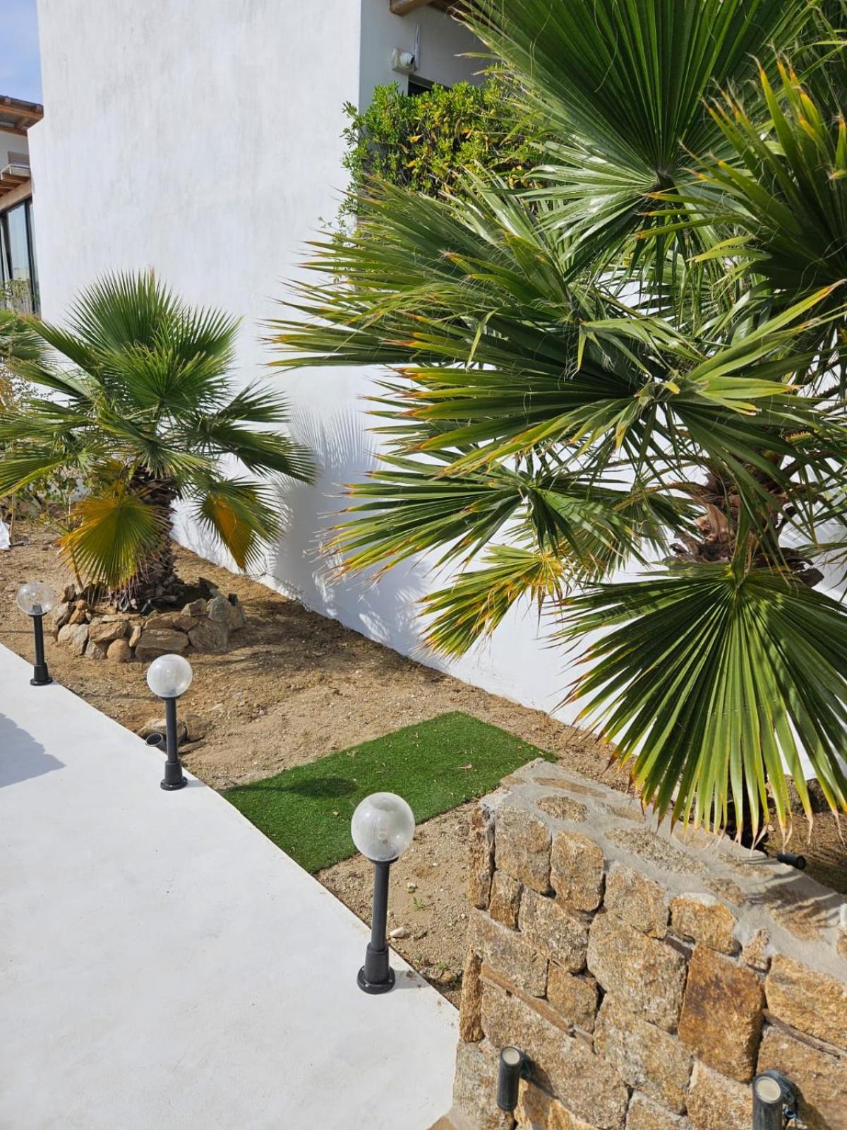 Elli Tropical Suites Mykonos Town Zewnętrze zdjęcie